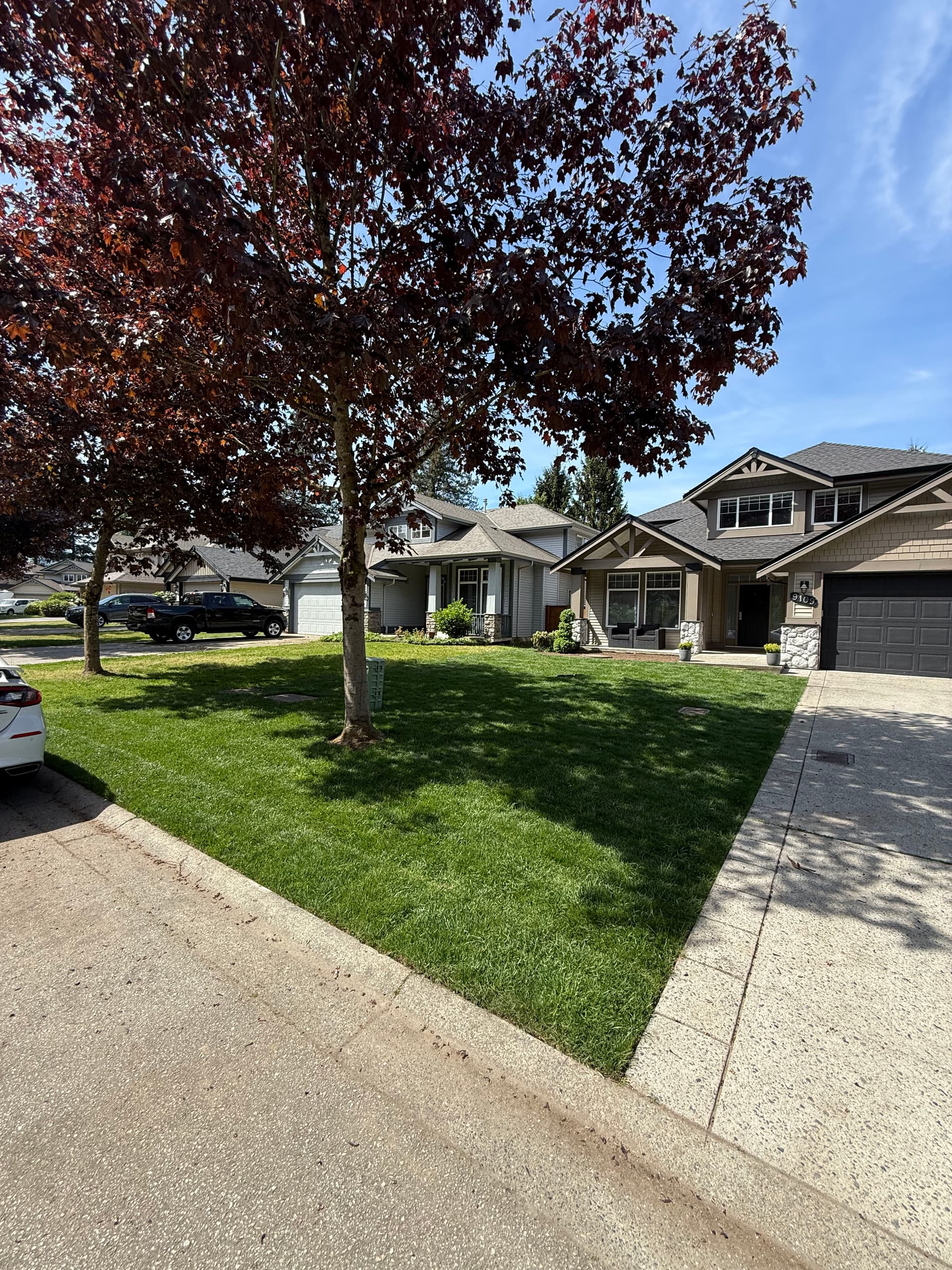 Gallery photos for Fresh Sod and Lawn Leveling That Actually Makes a Difference: Image #1