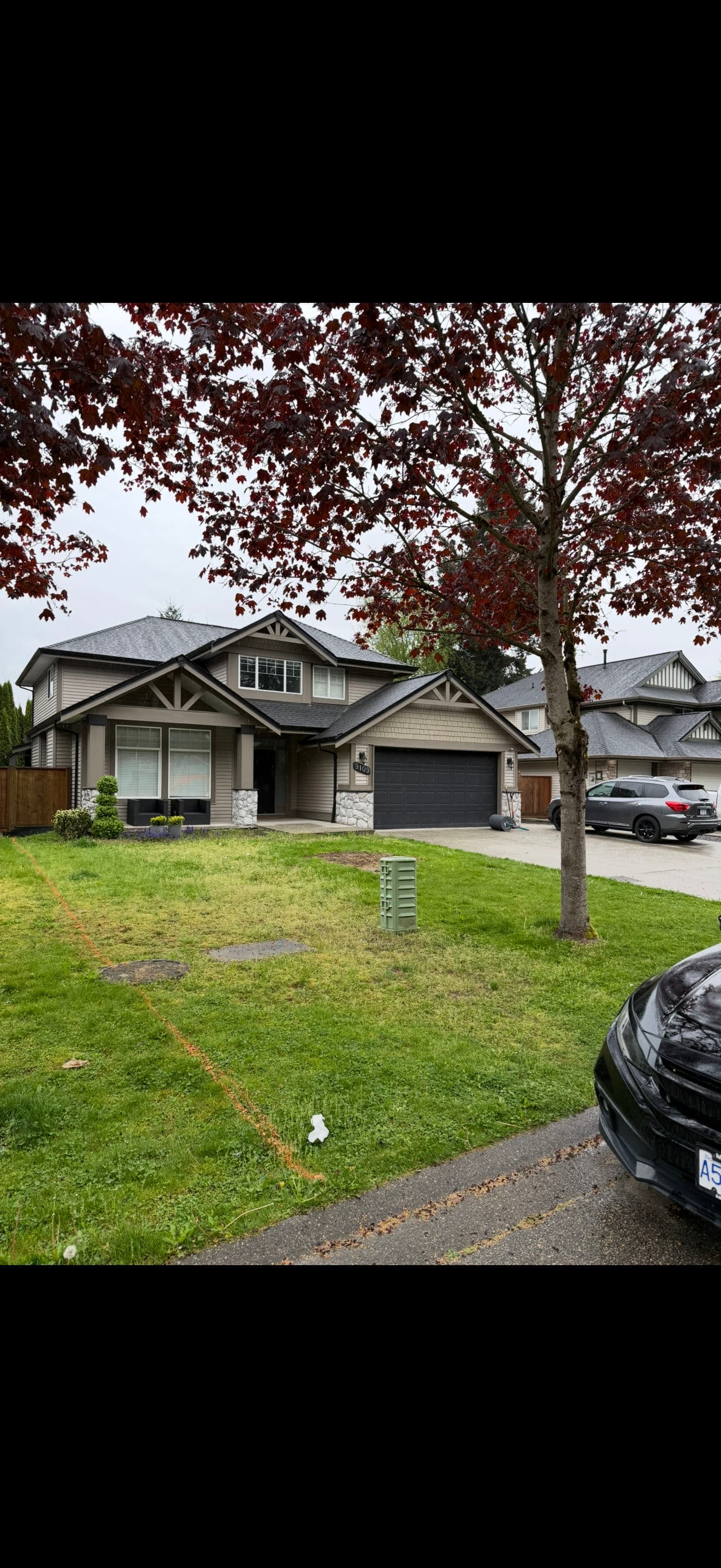 Project Fresh Sod and Lawn Leveling That Actually Makes a Difference image